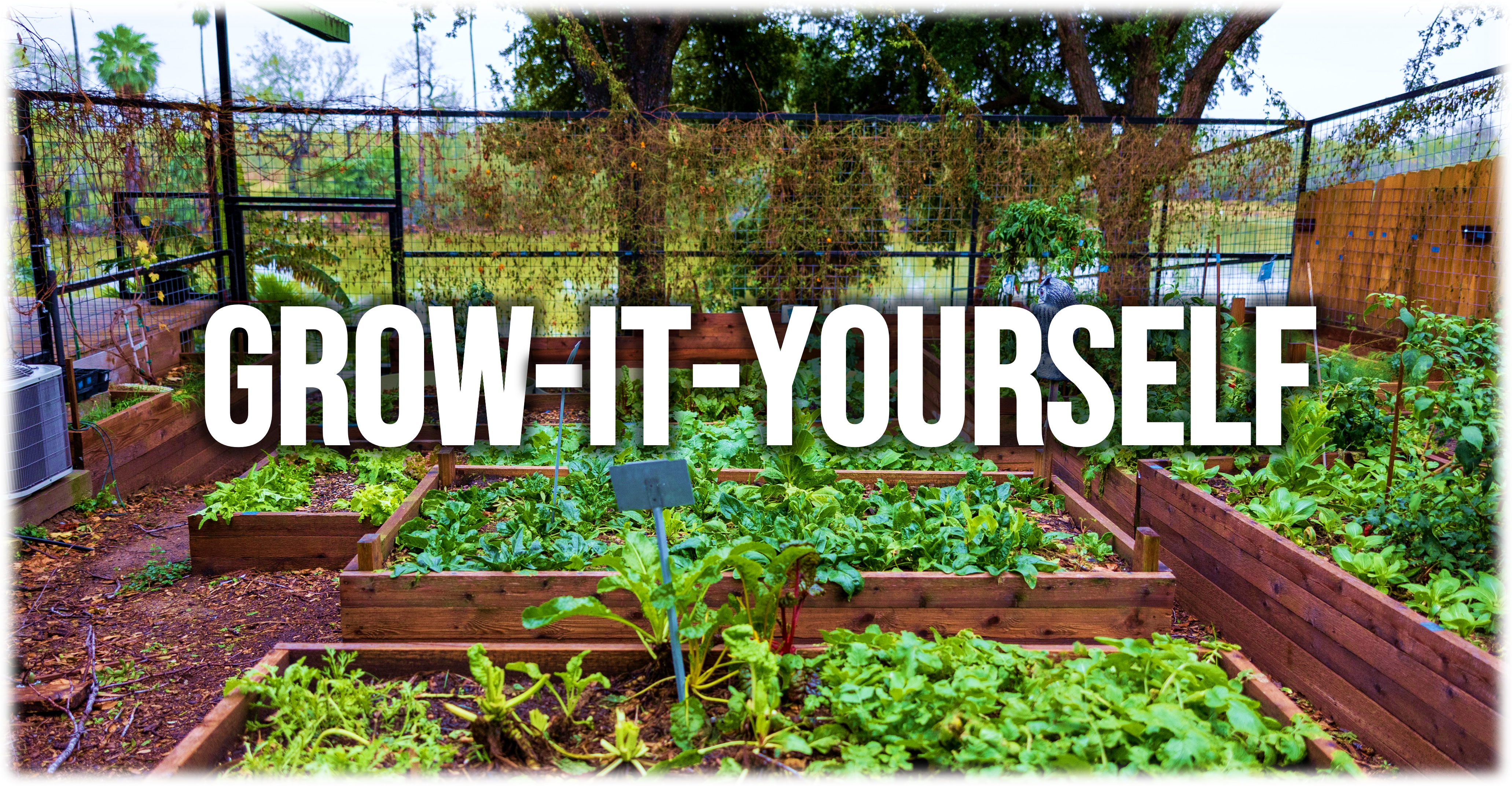 Grow your own fruits & vegetables. Give back to nature.